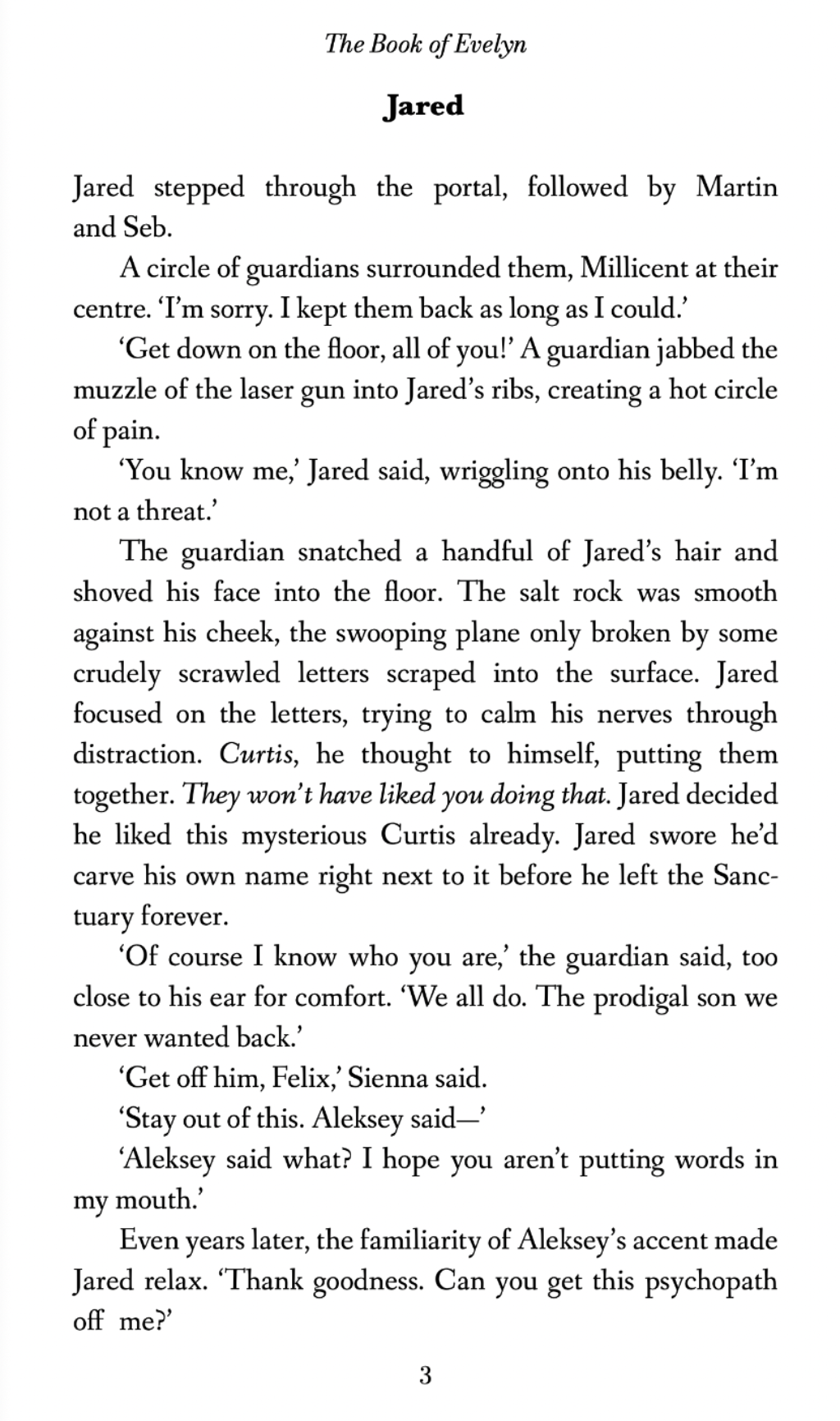 The Book of Evelyn Escaping Sanctuary by Cher L. Jones Dystopian Sci-f novel bees cannibals